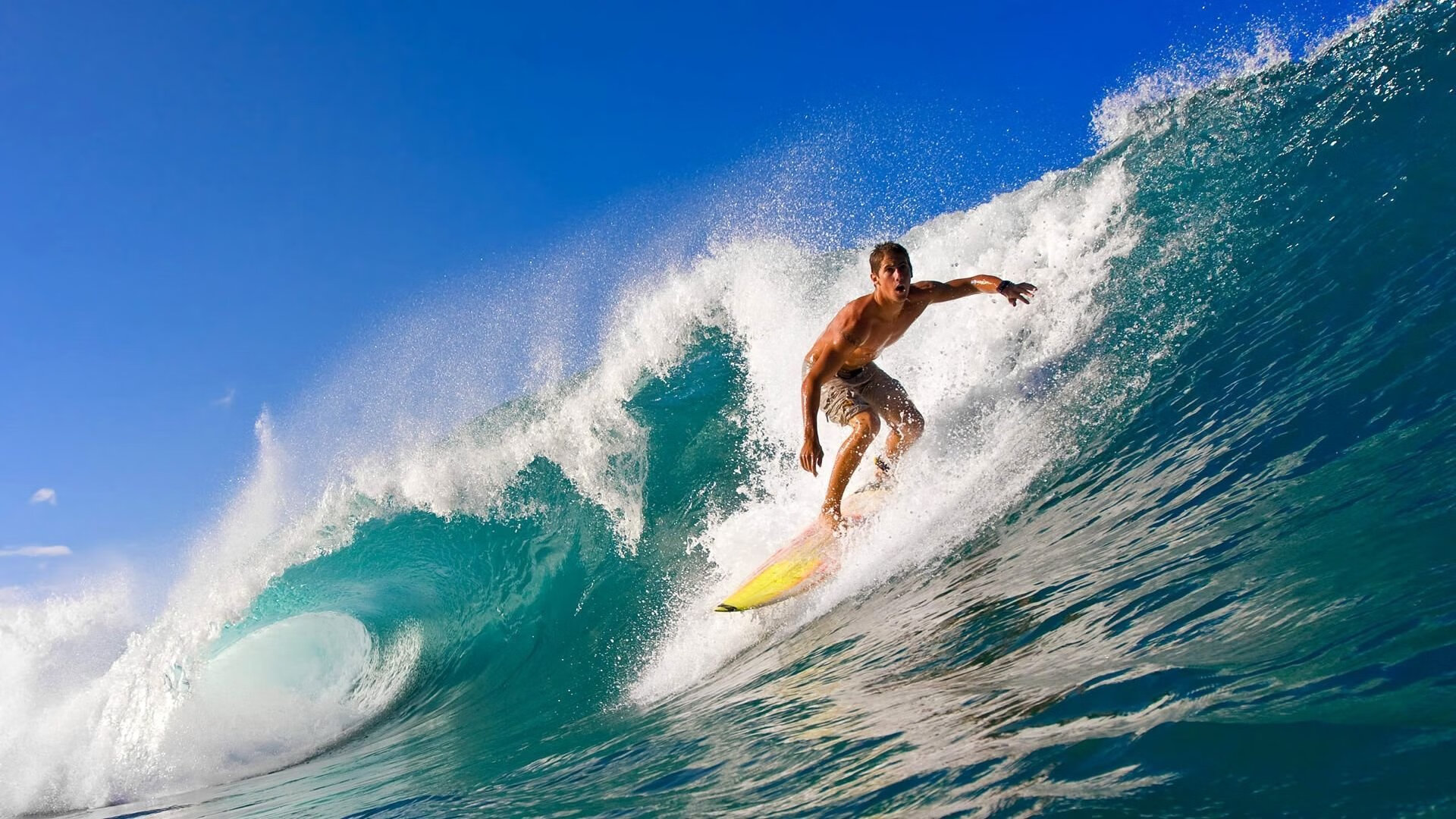 全国羽毛球锦标赛圆满落幕,新秀黑马勇夺男单冠军