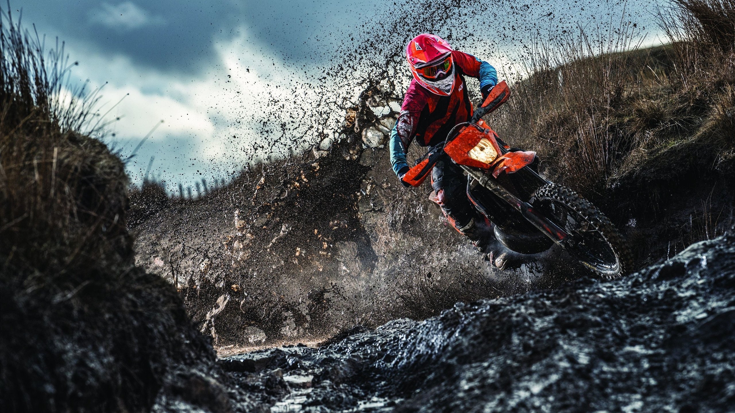 泳坛名将因禁赛风波无缘世锦赛,职业生涯面临重大挑战